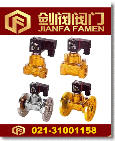 DF（ZCS）液用电磁阀